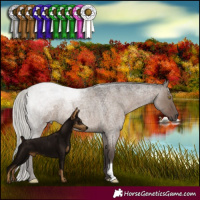 Horse Color:Silver Grullo Roan 