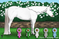 Horse Color:Black Frame Appaloosa 