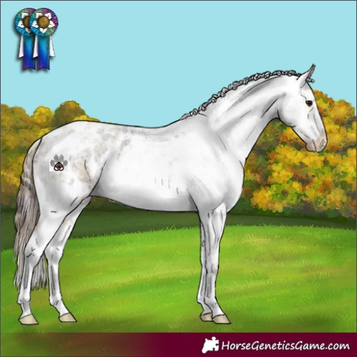 Horse Color:Plaid  White Spotted Buckskin Roan Blanket 