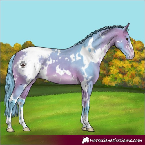 Horse Color:Watercolor White Spotted Bay Snowcap 