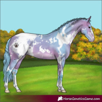 Horse Color:Watercolor White Spotted Bay Snowcap