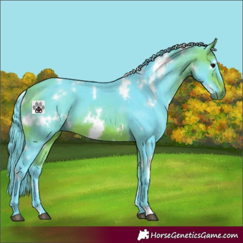 Horse Color:Watercolor White Spotted Bay 