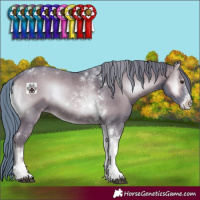 Horse Color:Watercolor Red Onyx Sabino Tobiano