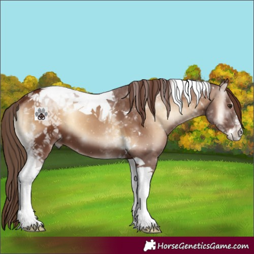 Horse Color:Red Onyx Sabino Tobiano 