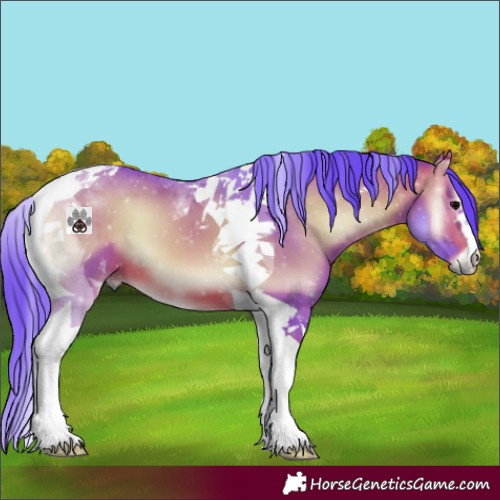 Horse Color:Watercolor Chocolate Bay Onyx Tobiano 