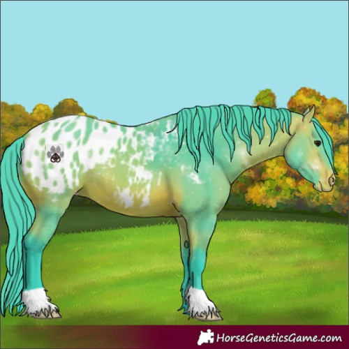 Horse Color:Watercolor Bay Blanket 