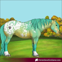 Horse Color:Watercolor Bay Blanket 