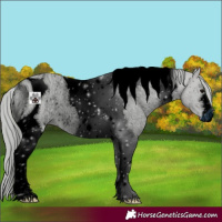 Horse Color:ERROR: UNKNOWN ANOMALY