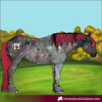 Horse Color:ERROR: UNKNOWN ANOMALY