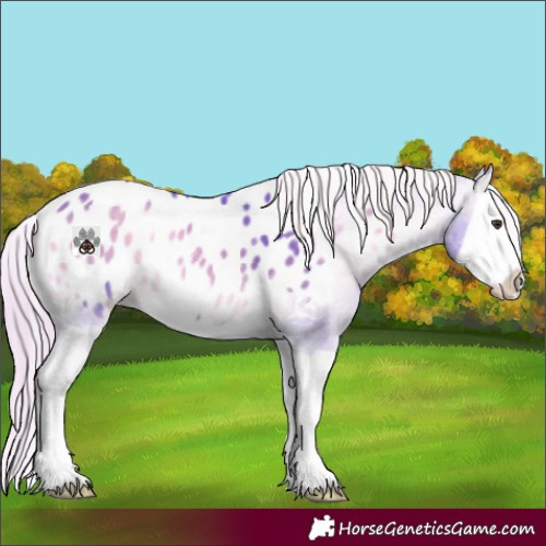 Horse Color:Watercolor Chocolate Palomino Onyx Splash Blanket 