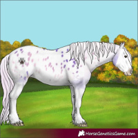 Horse Color:Watercolor Chocolate Palomino Onyx Splash Blanket 