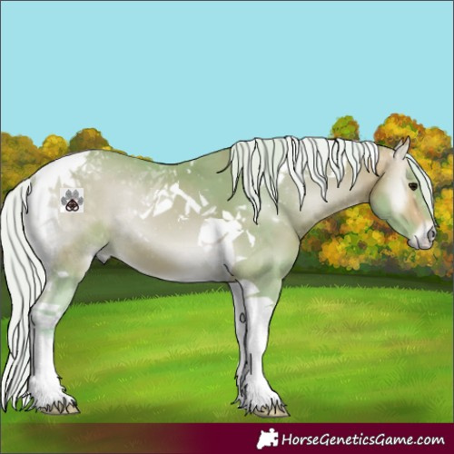 Horse Color:Watercolor Silver Buckskin Onyx Tobiano 