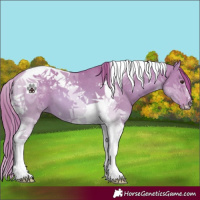 Horse Color:Watercolor Red Dun Tobiano 