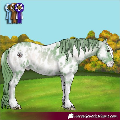 Horse Color:Watercolor White Spotted Blue Onyx Chinchilla Ice Appaloosa 