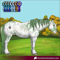 Horse Color:Watercolor White Spotted Blue Onyx Chinchilla Ice Near Leopard 