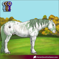 Horse Color:Watercolor White Spotted Blue Onyx Chinchilla Ice Near Leopard 