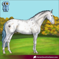 Horse Color:Watercolor Liver Red Dun Onyx Sabino Appaloosa 