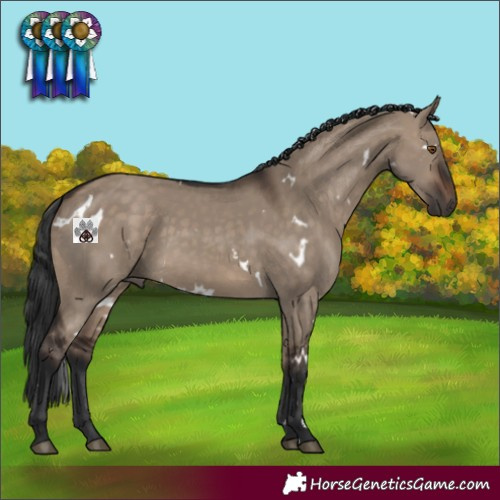 Horse Color:White Spotted Brown Dun 