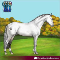 Horse Color:Gray Brown Dun Tobiano 