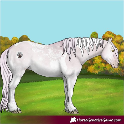 Horse Color:Watercolor Silver Sable Cream Champagne Onyx Tobiano 