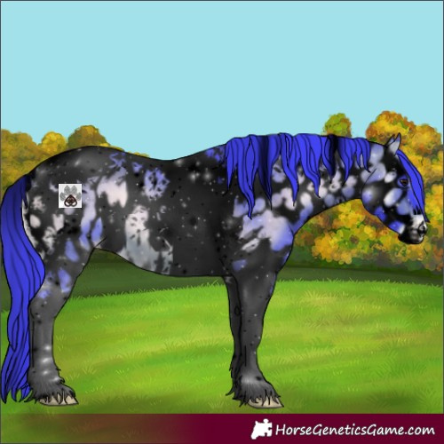 Horse Color:Void Watercolor Brown Onyx Tobiano Near Leopard 