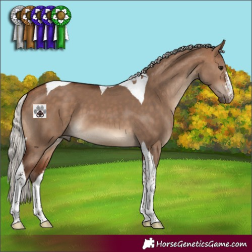 Horse Color:Silver Bay Dun Tobiano 
