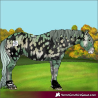 Horse Color:Void Watercolor Silver Blue Onyx Near Leopard 