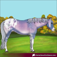 Horse Color:Watercolor Silver Blue Onyx Tobiano Appaloosa 