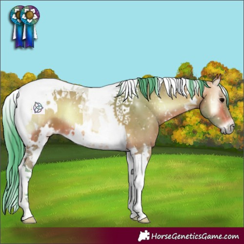 Horse Color:Watercolor White Spotted Bay Onyx Tobiano 