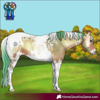 Horse Color:Watercolor White Spotted Bay Onyx Tobiano 