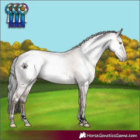 Horse Color:Gray Sable Champagne Ice Dun Sabino