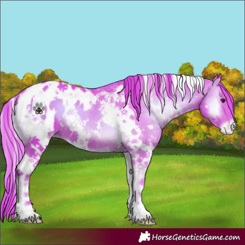 Horse Color:Watercolor White Spotted Red Onyx Appaloosa 