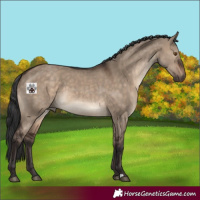 Horse Color:Brown Dun