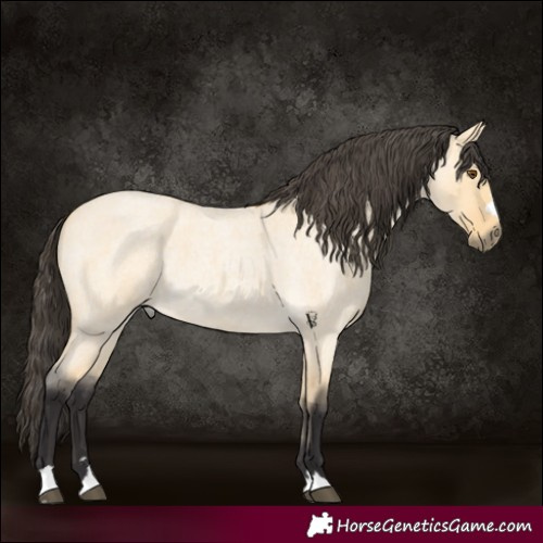 Horse Color:Buckskin Roan Dun 