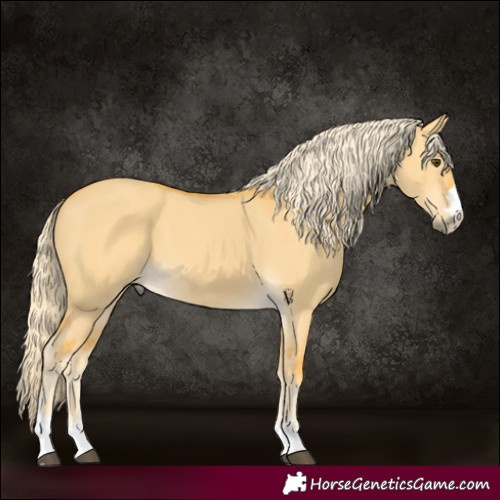 Horse Color:Palomino Dun 