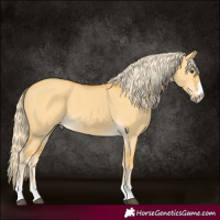 Horse Color:Palomino Dun 