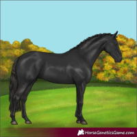 Horse Color:Gray White Spotted Liver Chestnut 