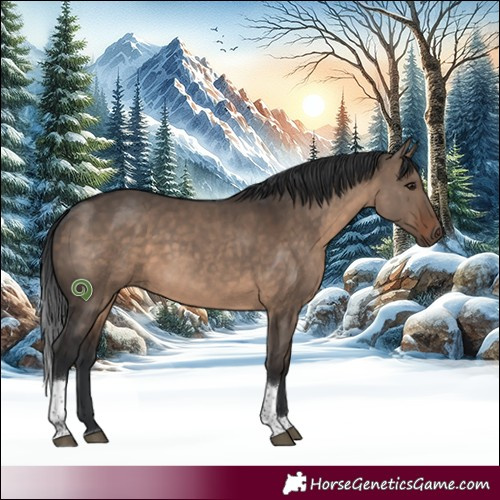 Horse Color:Brown Dun Tobiano Rabicano