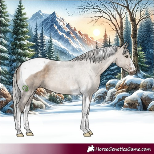 Horse Color:Silver Brown Dun Tobiano 