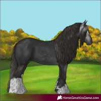 Horse Color:Gray White Spotted Liver Chestnut 