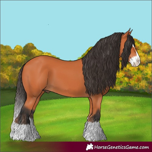 Horse Color:Bay Splash 