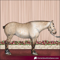 Horse Color:Red Dun  and Gray Bay Dun 