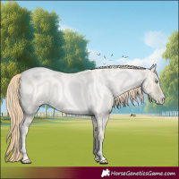 Horse Color:Buckskin Roan Pearl  and Buckskin Roan Pearl 
