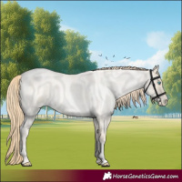 Horse Color:Buckskin Roan Pearl  and Buckskin Roan Pearl 