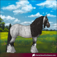Horse Color:Gray White Spotted Brown Roan 
