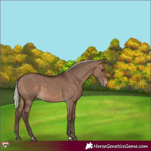 Horse Color:Silver Brown Dun Varnish 
