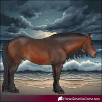Horse Color:White Spotted Brown 