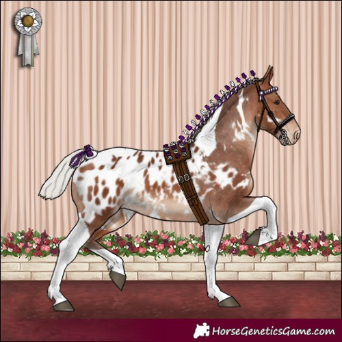 Horse Color:White Spotted Silver Brown Tobiano Appaloosa 