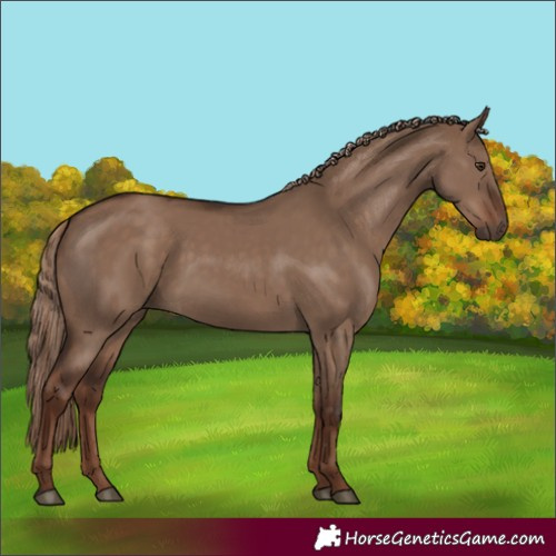 Horse Color:Liver Red Dun 