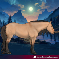 Horse Color:Bay Dun